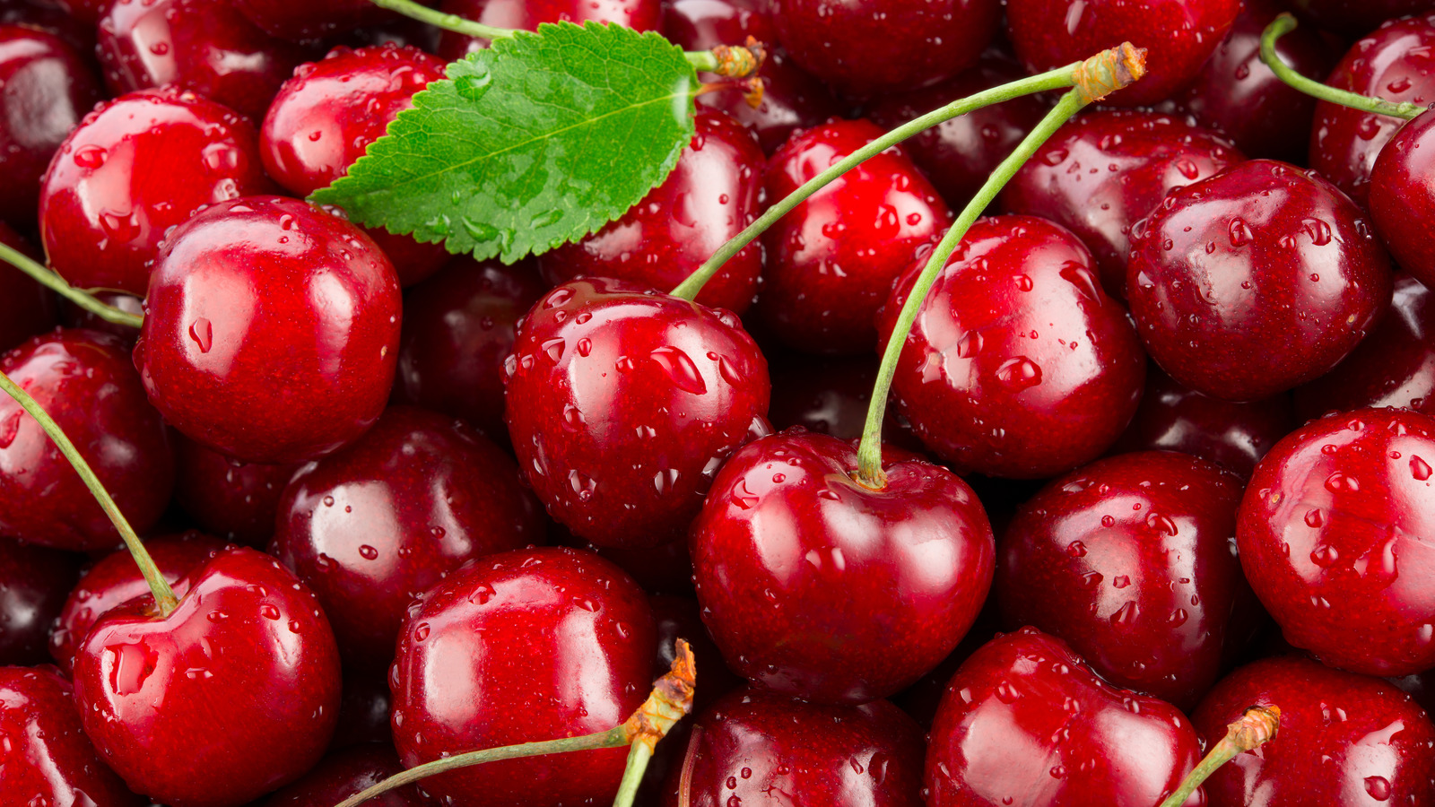 Cherries Nutrition : Are Cherries Good For You