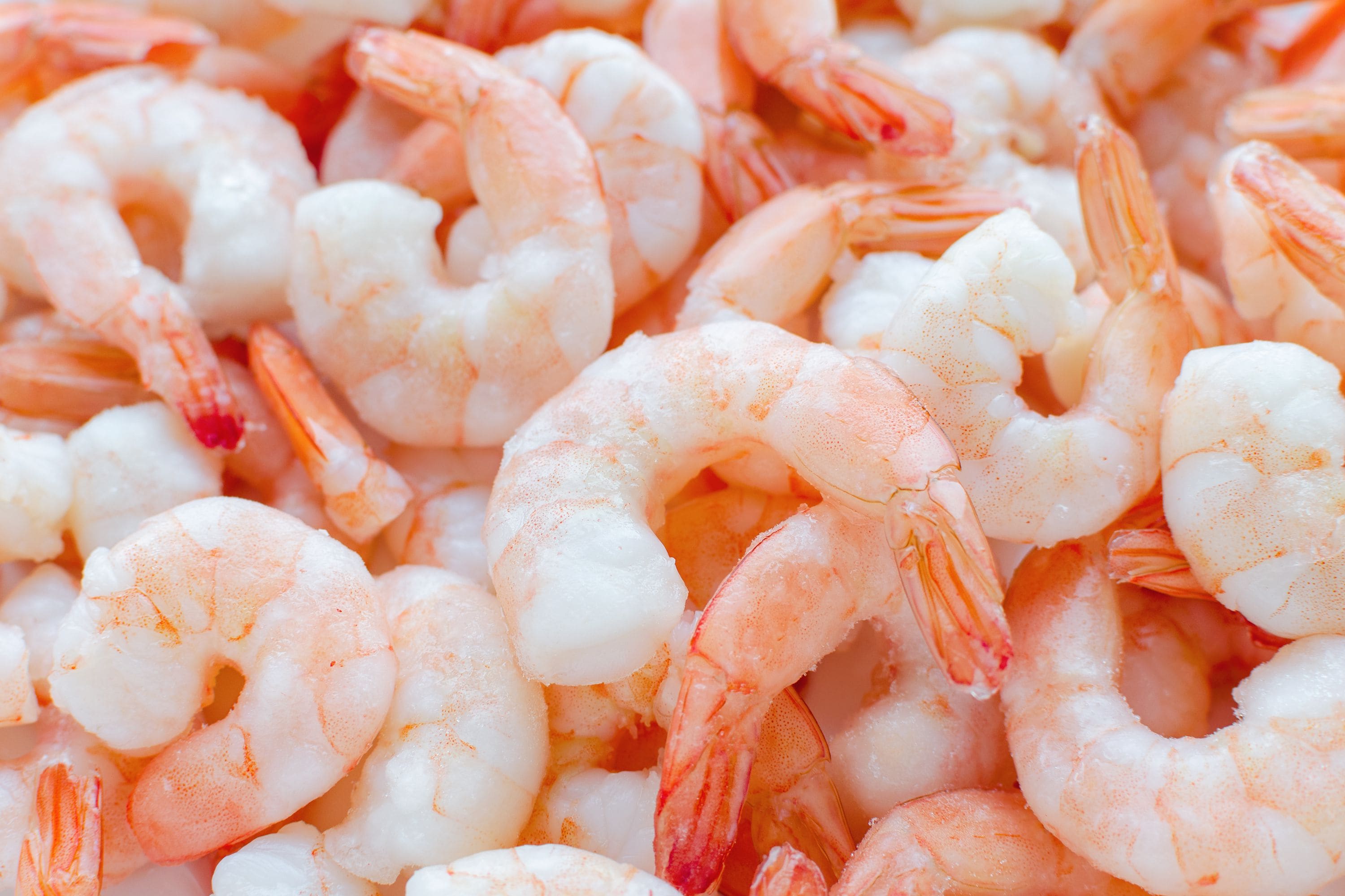 Nutritional Value Of Shrimp : Is Shrimp Good For You