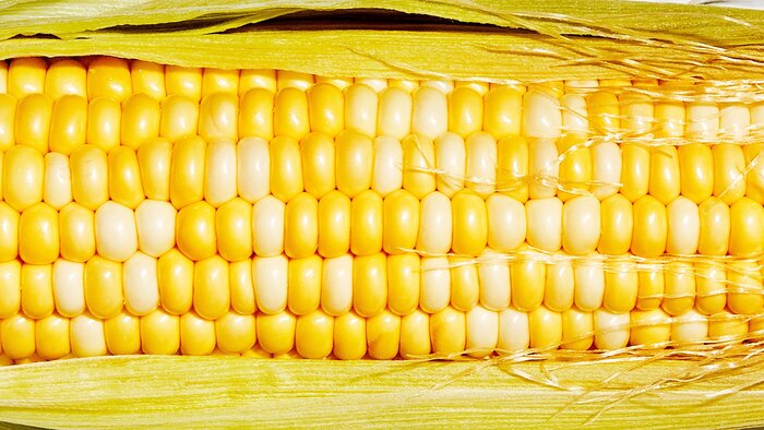 Corn Nutrition : Is Corn Good For You