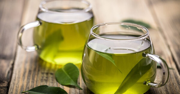 Green Tea Nutrition : Is Green Tea Good For You