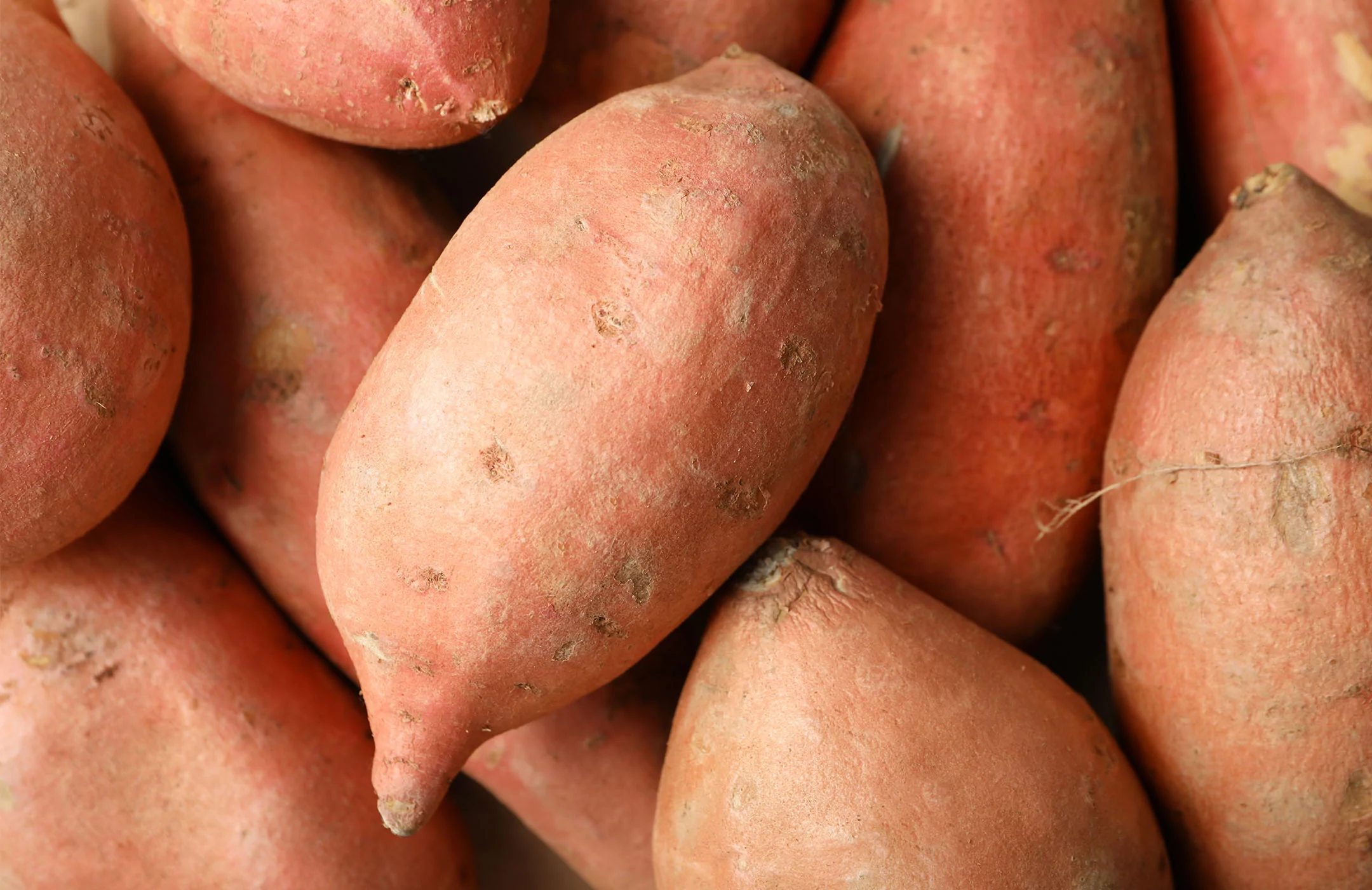 Sweet Potato Nutrition : Is Sweet Potato Good For You?